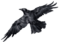 Aeterna